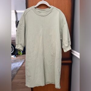 Everlane Sweatshirt Dress